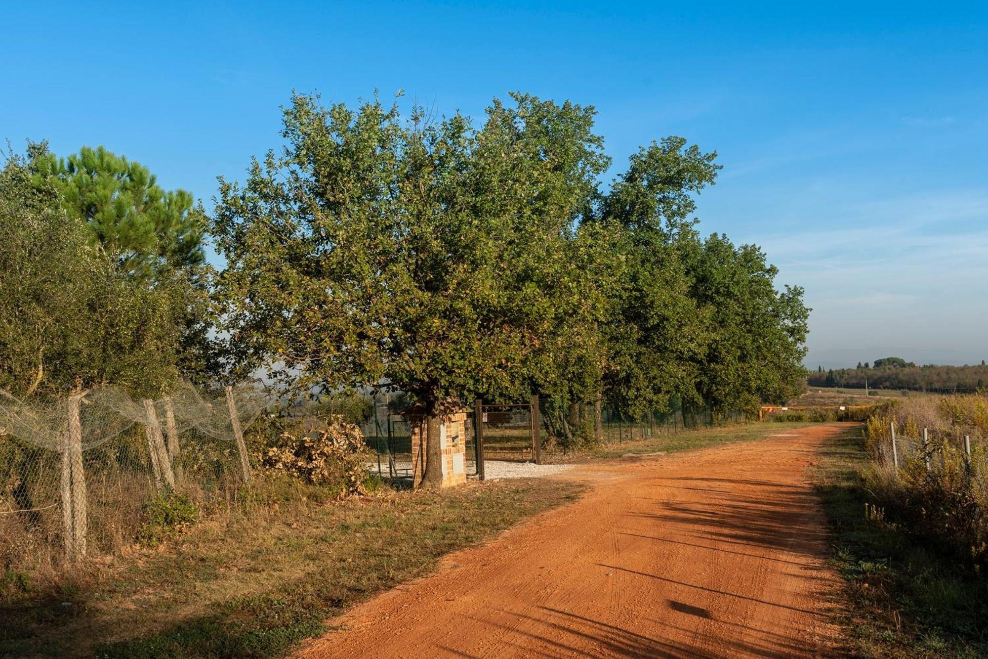 Podere Abbazia b&b Sinalunga Kültér fotó